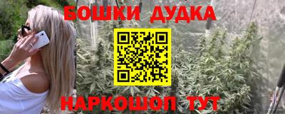 apvp Новозыбков