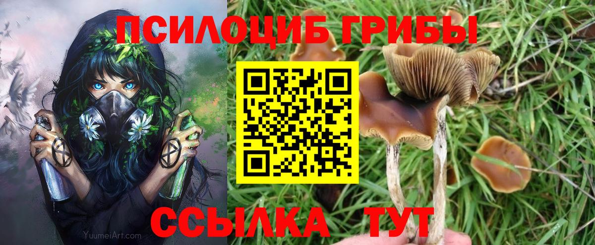 Псилоцибиновые грибы GOLDEN TEACHER  Галлюциногенные грибы GOLDEN TEACHER  где найти   Балашиха  Вход с VPN 